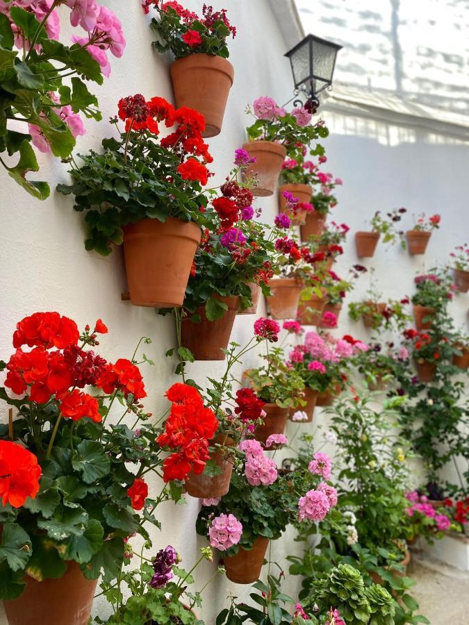 Amal Casa De Huespedes Lejlighed Córdoba Eksteriør billede
