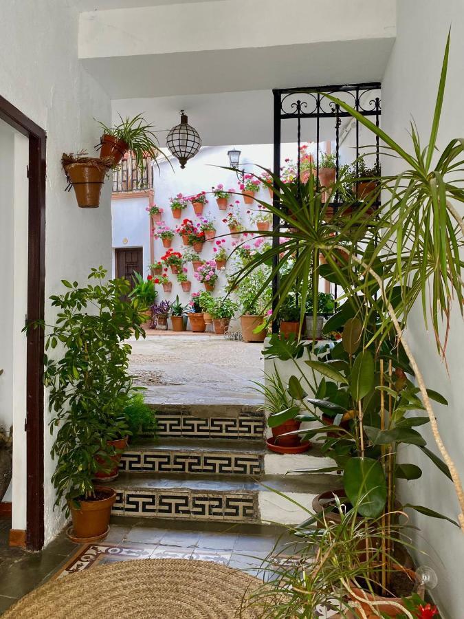 Amal Casa De Huespedes Lejlighed Córdoba Eksteriør billede