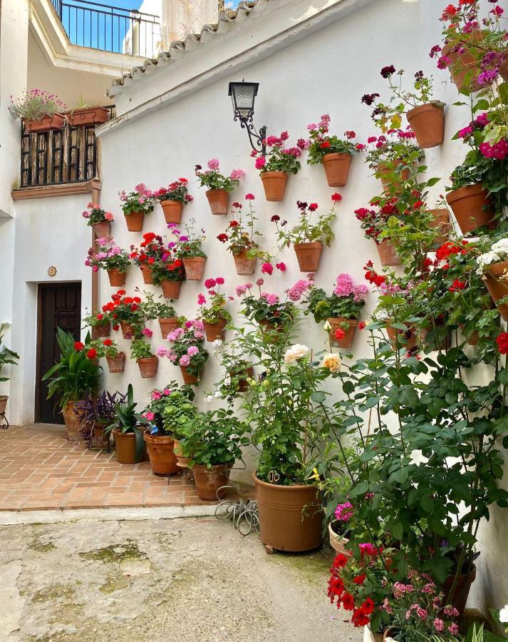 Amal Casa De Huespedes Lejlighed Córdoba Eksteriør billede